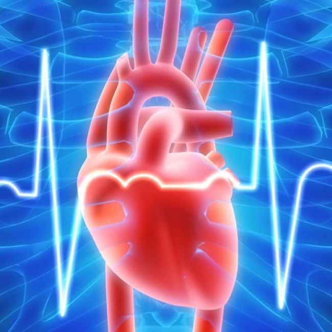 Electrocardiograma en Granollers | Institut Clínic Vallès